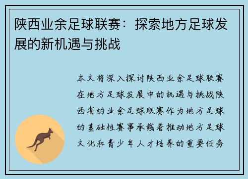 陕西业余足球联赛：探索地方足球发展的新机遇与挑战