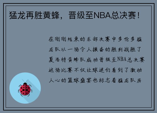 猛龙再胜黄蜂，晋级至NBA总决赛！