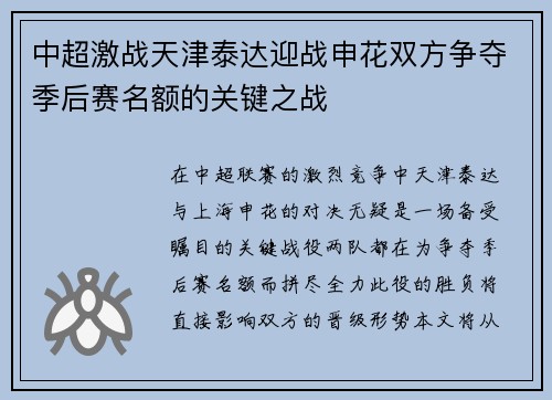 中超激战天津泰达迎战申花双方争夺季后赛名额的关键之战